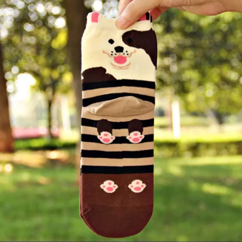 🆕Brown Dog Socks